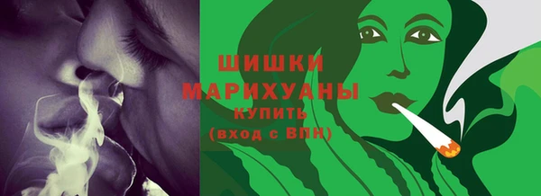 spice Покачи