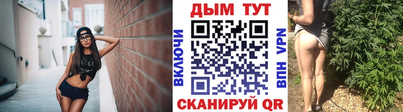 omg рабочий сайт  Щёкино  Бошки марихуана планчик 
